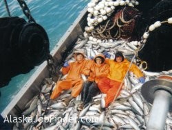 Coral Crew Purse Seining Crew Poses On Deck full of Salmon