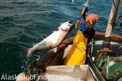 Women Fishing Alaska photo